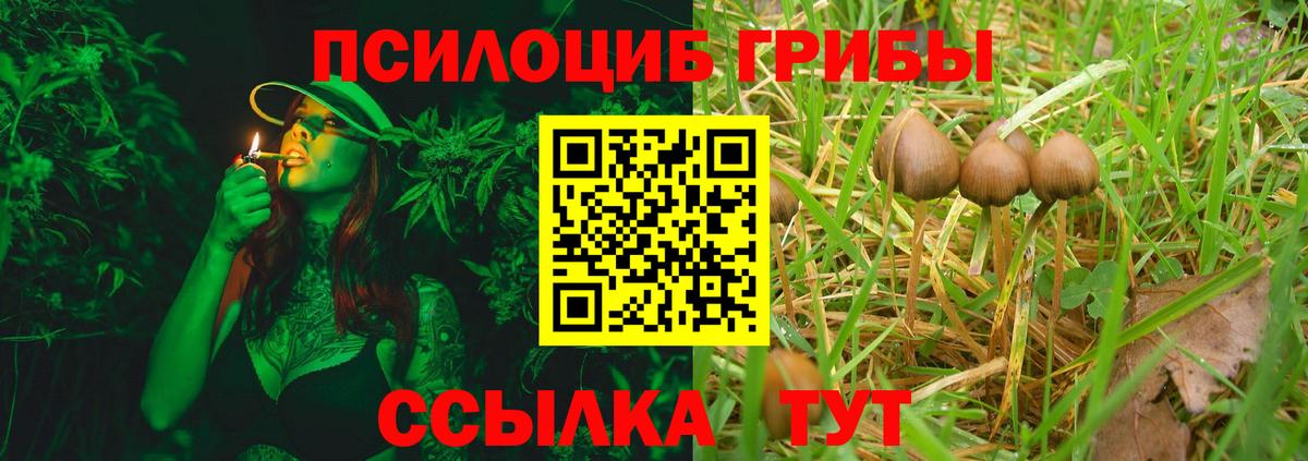 Рыбинск  Псилоцибиновые грибы Magic Shrooms  Вход с VPN  Галлюциногенные грибы мухоморы 